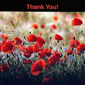 💝 Free Gift as a Thank You for supporting my show! 🎁 Add to Bundle 🎁